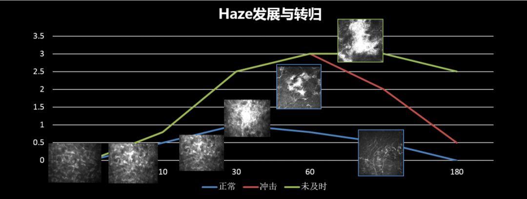 阿玛仕公开课 | 李莹教授：重温Haze